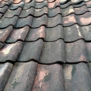 Dark, dirty-looking areas on your roof